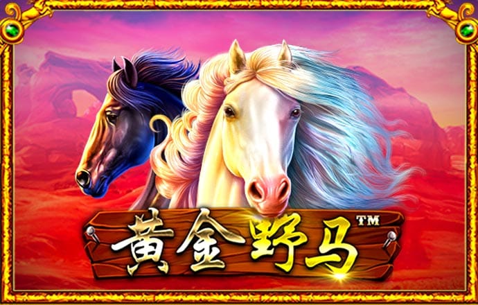 澳门金沙APP